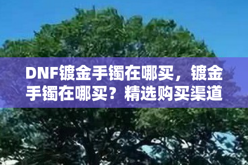 DNF镀金手镯在哪买,镀金手镯在哪买?精选购买渠道与注意事项 DNF镀金手镯在哪买,镀金手镯在哪买?精选购买渠道与注意事项