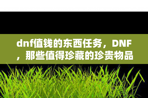 dnf值钱的东西任务,DNF,那些值得珍藏的珍贵物品 dnf值钱的东西任务,DNF,那些值得珍藏的珍贵物品