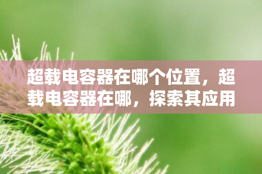 超载电容器在哪个位置,超载电容器在哪,探索其应用与重要性 超载电容器在哪个位置,超载电容器在哪,探索其应用与重要性