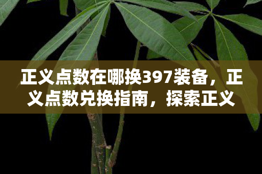 正义点数在哪换397装备,正义点数兑换指南,探索正义与奖励的交汇点 正义点数在哪换397装备,正义点数兑换指南,探索正义与奖励的交汇点