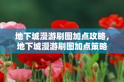 地下城漫游刷图加点攻略,地下城漫游刷图加点策略 地下城漫游刷图加点攻略,地下城漫游刷图加点策略
