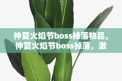 仲夏火焰节boss掉落物品，仲夏火焰节boss掉落，激情燃烧的宝藏揭秘