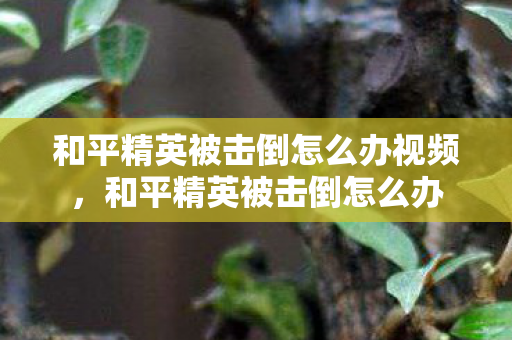 和平精英被击倒怎么办视频，和平精英被击倒怎么办