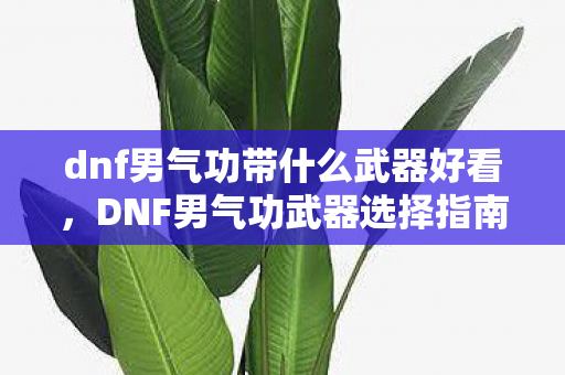 dnf男气功带什么武器好看,DNF男气功武器选择指南,打造最强战斗风格 dnf男气功带什么武器好看,DNF男气功武器选择指南,打造最强战斗风格