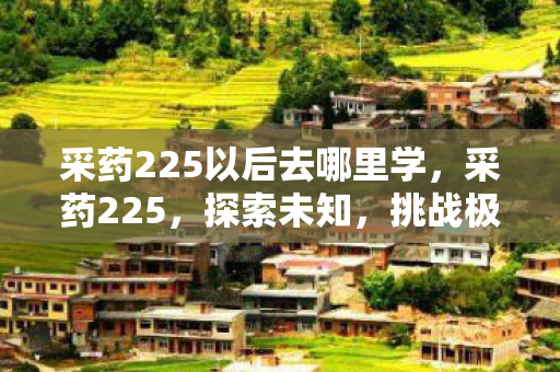 采药225以后去哪里学,采药225,探索未知,挑战极限的奇幻之旅 采药225以后去哪里学,采药225,探索未知,挑战极限的奇幻之旅