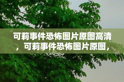 可莉事件恐怖图片原图高清，可莉事件恐怖图片原图，揭开网络暴力的阴影