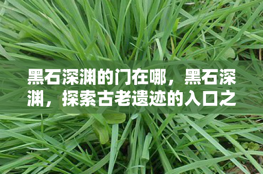 黑石深渊的门在哪,黑石深渊,探索古老遗迹的入口之谜 黑石深渊的门在哪,黑石深渊,探索古老遗迹的入口之谜