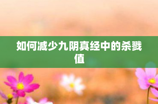 如何减少九阴真经中的杀戮值 如何减少九阴真经中的杀戮值