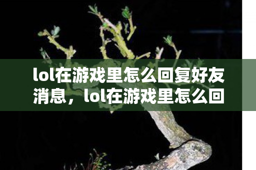lol在游戏里怎么回复好友消息,lol在游戏里怎么回复好友 lol在游戏里怎么回复好友消息,lol在游戏里怎么回复好友