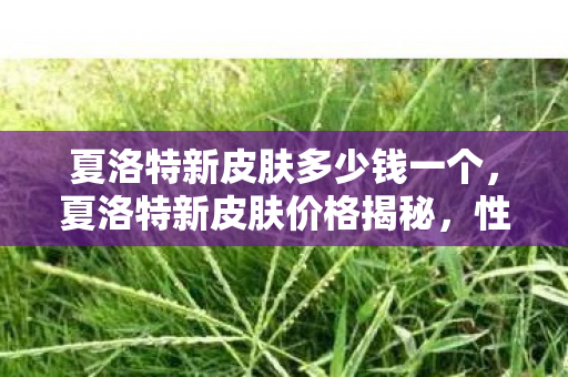 夏洛特新皮肤多少钱一个，夏洛特新皮肤价格揭秘，性价比与期待的碰撞