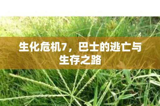 生化危机7,巴士的逃亡与生存之路 生化危机7,巴士的逃亡与生存之路