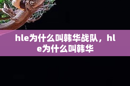 hle为什么叫韩华战队，hle为什么叫韩华
