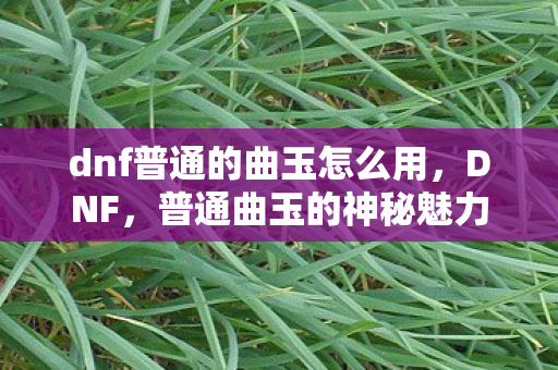 dnf普通的曲玉怎么用,DNF,普通曲玉的神秘魅力与游戏内的独特作用 dnf普通的曲玉怎么用,DNF,普通曲玉的神秘魅力与游戏内的独特作用