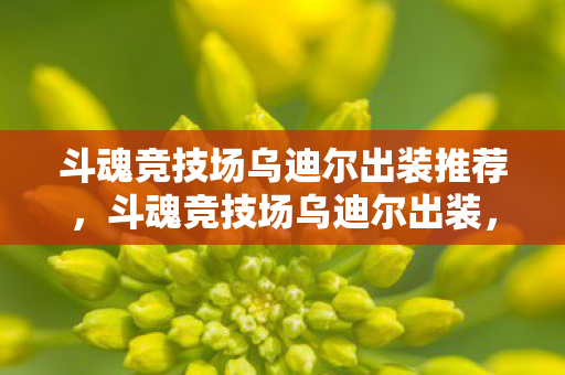 斗魂竞技场乌迪尔出装推荐,斗魂竞技场乌迪尔出装,打造最强野区霸主 斗魂竞技场乌迪尔出装推荐,斗魂竞技场乌迪尔出装,打造最强野区霸主