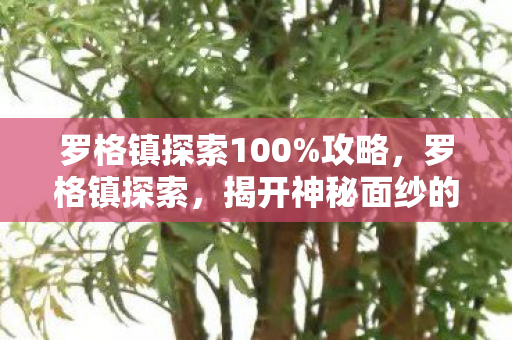 罗格镇探索100%攻略，罗格镇探索，揭开神秘面纱的古老城镇