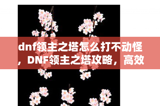 dnf领主之塔怎么打不动怪，DNF领主之塔攻略，高效通关策略