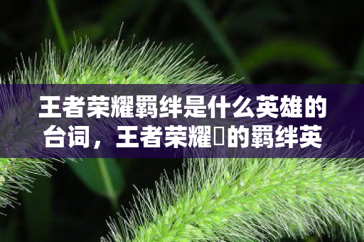 王者荣耀羁绊是什么英雄的台词,王者荣耀暃的羁绊英雄,镜花水月的神秘联系 王者荣耀羁绊是什么英雄的台词,王者荣耀暃的羁绊英雄,镜花水月的神秘联系