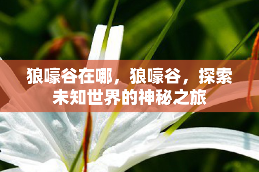 狼嚎谷在哪,狼嚎谷,探索未知世界的神秘之旅 狼嚎谷在哪,狼嚎谷,探索未知世界的神秘之旅