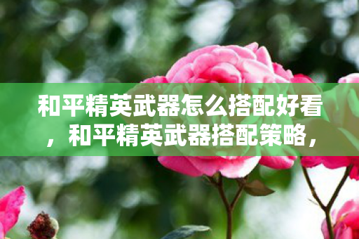 和平精英武器怎么搭配好看,和平精英武器搭配策略,打造最强战斗组合 和平精英武器怎么搭配好看,和平精英武器搭配策略,打造最强战斗组合