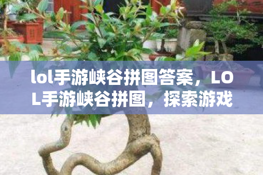 lol手游峡谷拼图答案，LOL手游峡谷拼图，探索游戏世界的奇妙之旅