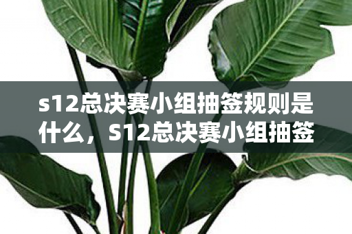 s12总决赛小组抽签规则是什么,S12总决赛小组抽签规则解析 s12总决赛小组抽签规则是什么,S12总决赛小组抽签规则解析