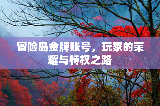 冒险岛金牌账号,玩家的荣耀与特权之路 冒险岛金牌账号,玩家的荣耀与特权之路