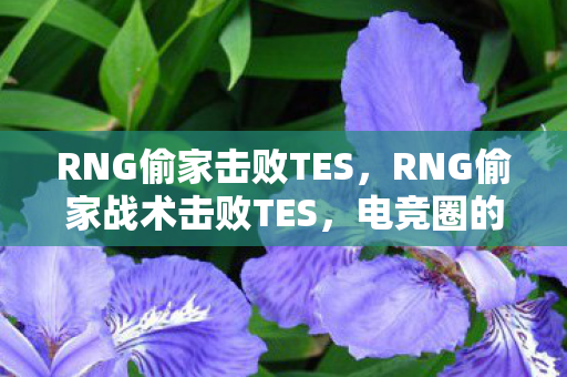 RNG偷家击败TES,RNG偷家战术击败TES,电竞圈的惊喜逆转 RNG偷家击败TES,RNG偷家战术击败TES,电竞圈的惊喜逆转