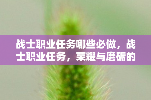 战士职业任务哪些必做，战士职业任务，荣耀与磨砺的征程