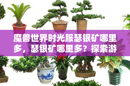 魔兽世界时光服瑟银矿哪里多,瑟银矿哪里多?探索游戏中的资源分布与获取策略 魔兽世界时光服瑟银矿哪里多,瑟银矿哪里多?探索游戏中的资源分布与获取策略