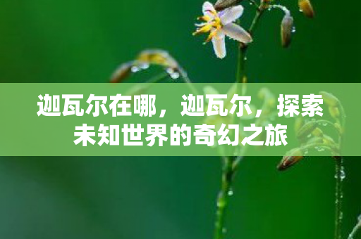 迦瓦尔在哪,迦瓦尔,探索未知世界的奇幻之旅 迦瓦尔在哪,迦瓦尔,探索未知世界的奇幻之旅
