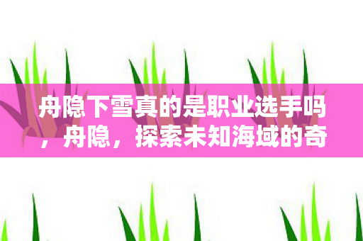 舟隐下雪真的是职业选手吗,舟隐,探索未知海域的奇妙之旅 舟隐下雪真的是职业选手吗,舟隐,探索未知海域的奇妙之旅