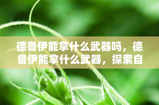 德鲁伊能拿什么武器吗,德鲁伊能拿什么武器,探索自然之子的战斗艺术 德鲁伊能拿什么武器吗,德鲁伊能拿什么武器,探索自然之子的战斗艺术