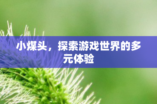 小煤头,探索游戏世界的多元体验 小煤头,探索游戏世界的多元体验