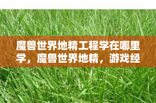 魔兽世界地精工程学在哪里学,魔兽世界地精,游戏经济中的智慧与策略 魔兽世界地精工程学在哪里学,魔兽世界地精,游戏经济中的智慧与策略