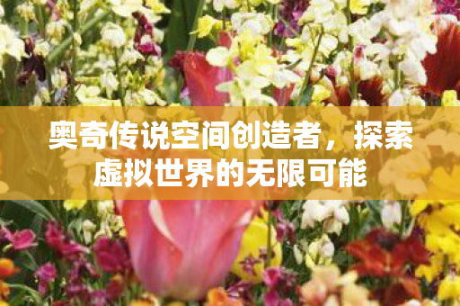 奥奇传说空间创造者，探索虚拟世界的无限可能
