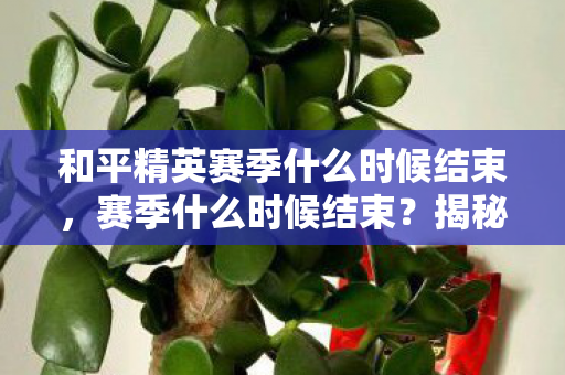 和平精英赛季什么时候结束,赛季什么时候结束?揭秘游戏赛季的终结时刻 和平精英赛季什么时候结束,赛季什么时候结束?揭秘游戏赛季的终结时刻