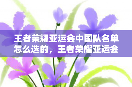 王者荣耀亚运会中国队名单怎么选的,王者荣耀亚运会中国队阵容揭晓,顶尖选手齐聚,共赴荣耀征程 王者荣耀亚运会中国队名单怎么选的,王者荣耀亚运会中国队阵容揭晓,顶尖选手齐聚,共赴荣耀征程