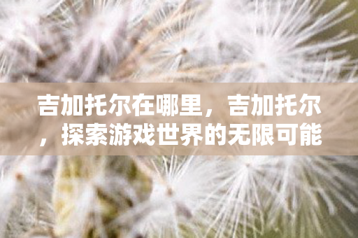 吉加托尔在哪里,吉加托尔,探索游戏世界的无限可能 吉加托尔在哪里,吉加托尔,探索游戏世界的无限可能