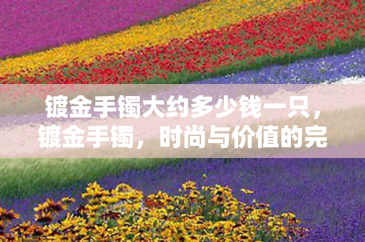 镀金手镯大约多少钱一只,镀金手镯,时尚与价值的完美融合 镀金手镯大约多少钱一只,镀金手镯,时尚与价值的完美融合