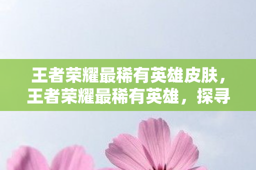王者荣耀最稀有英雄皮肤,王者荣耀最稀有英雄,探寻艾琳的传奇之路 王者荣耀最稀有英雄皮肤,王者荣耀最稀有英雄,探寻艾琳的传奇之路