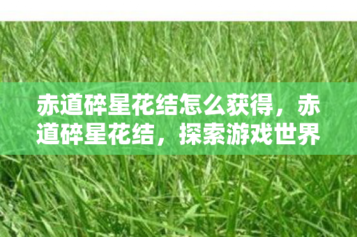 赤道碎星花结怎么获得,赤道碎星花结,探索游戏世界的无限可能 赤道碎星花结怎么获得,赤道碎星花结,探索游戏世界的无限可能