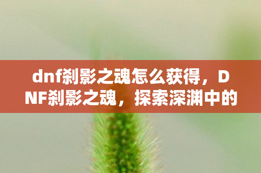 dnf刹影之魂怎么获得，DNF刹影之魂，探索深渊中的神秘力量