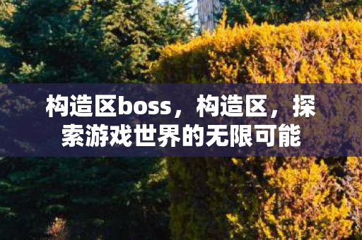构造区boss,构造区,探索游戏世界的无限可能 构造区boss,构造区,探索游戏世界的无限可能