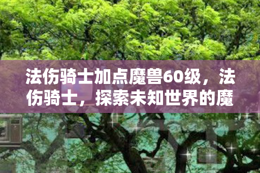 法伤骑士加点魔兽60级，法伤骑士，探索未知世界的魔法与荣耀