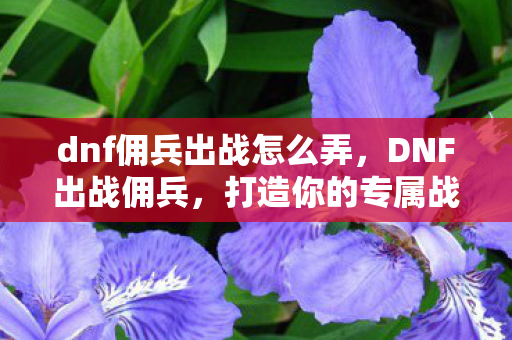 dnf佣兵出战怎么弄,DNF出战佣兵,打造你的专属战斗团队 dnf佣兵出战怎么弄,DNF出战佣兵,打造你的专属战斗团队