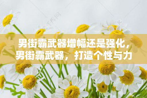 男街霸武器增幅还是强化,男街霸武器,打造个性与力量的完美结合 男街霸武器增幅还是强化,男街霸武器,打造个性与力量的完美结合