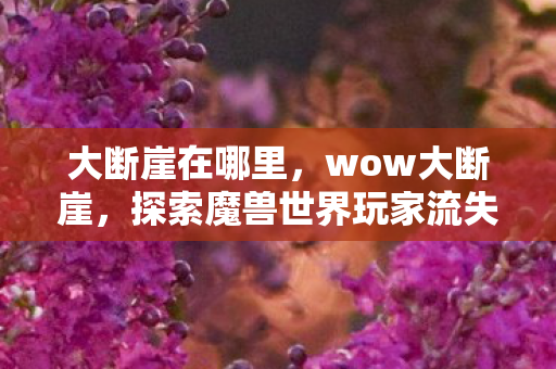 大断崖在哪里,wow大断崖,探索魔兽世界玩家流失的深层原因 大断崖在哪里,wow大断崖,探索魔兽世界玩家流失的深层原因