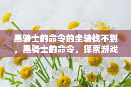黑骑士的命令的坐骑找不到，黑骑士的命令，探索游戏世界的独特魅力