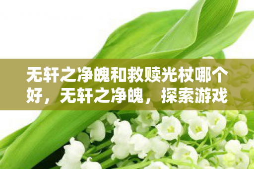 无轩之净魄和救赎光杖哪个好,无轩之净魄,探索游戏世界的纯净与自由 无轩之净魄和救赎光杖哪个好,无轩之净魄,探索游戏世界的纯净与自由