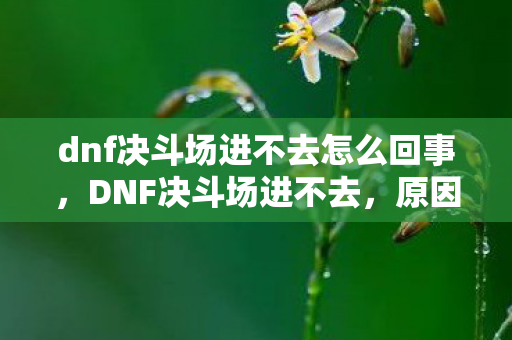 dnf决斗场进不去怎么回事，DNF决斗场进不去，原因分析与解决方案